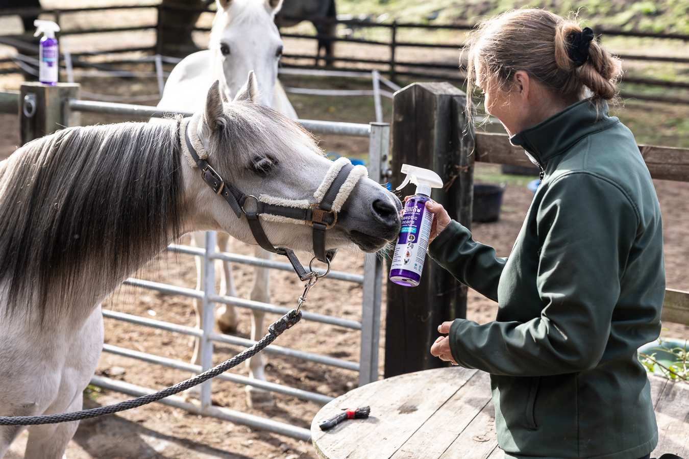 Leucillin and a horse